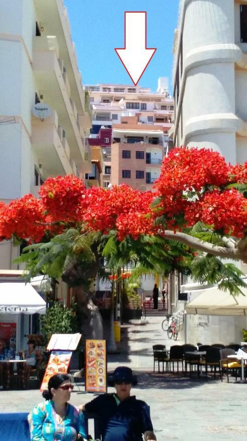 לוס כריסטיאנוס Ocean View Cactus I , Over Los Cristianos, Playa Las Vistas מראה חיצוני תמונה